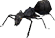 Giant Ant
